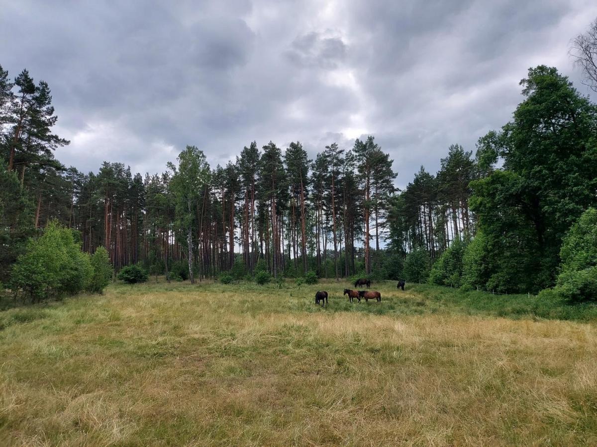 Будинок відпочинку Clonowo *
